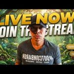 Losing It All: Raw Lessons And Live Chat Execution