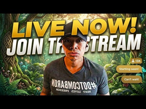 Losing It All: Raw Lessons And Live Chat Execution
