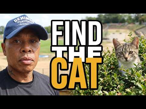 Mission: Cat Food and Chat | DOTCOM BARON is live!